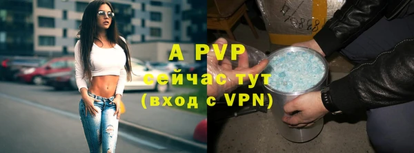 ALPHA-PVP Белокуриха